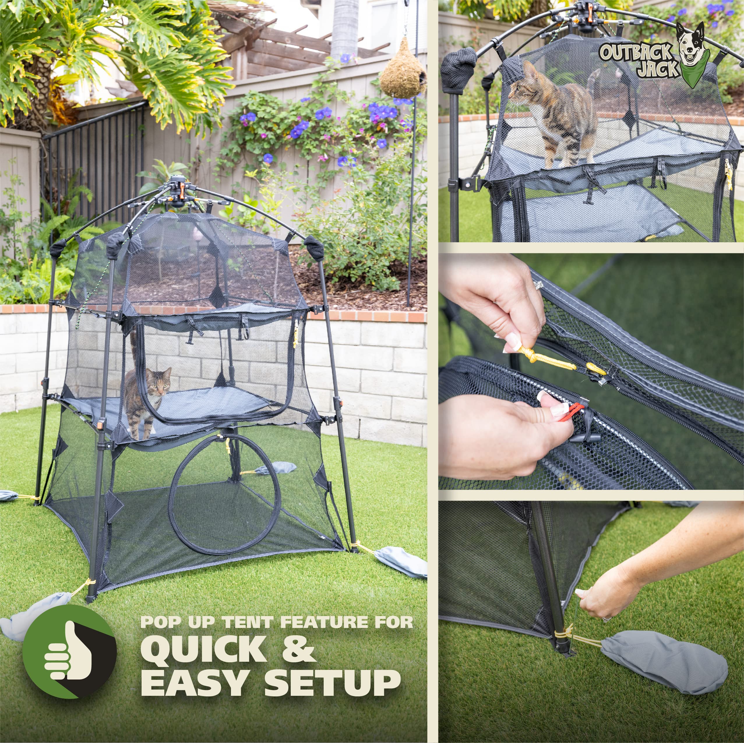 Outback Jack Catio compact, foldable design for easy storage.