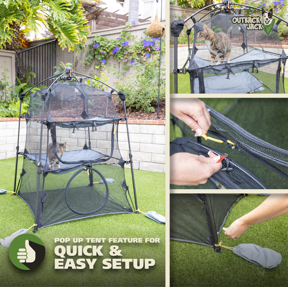 Outback Jack Catio compact, foldable design for easy storage.