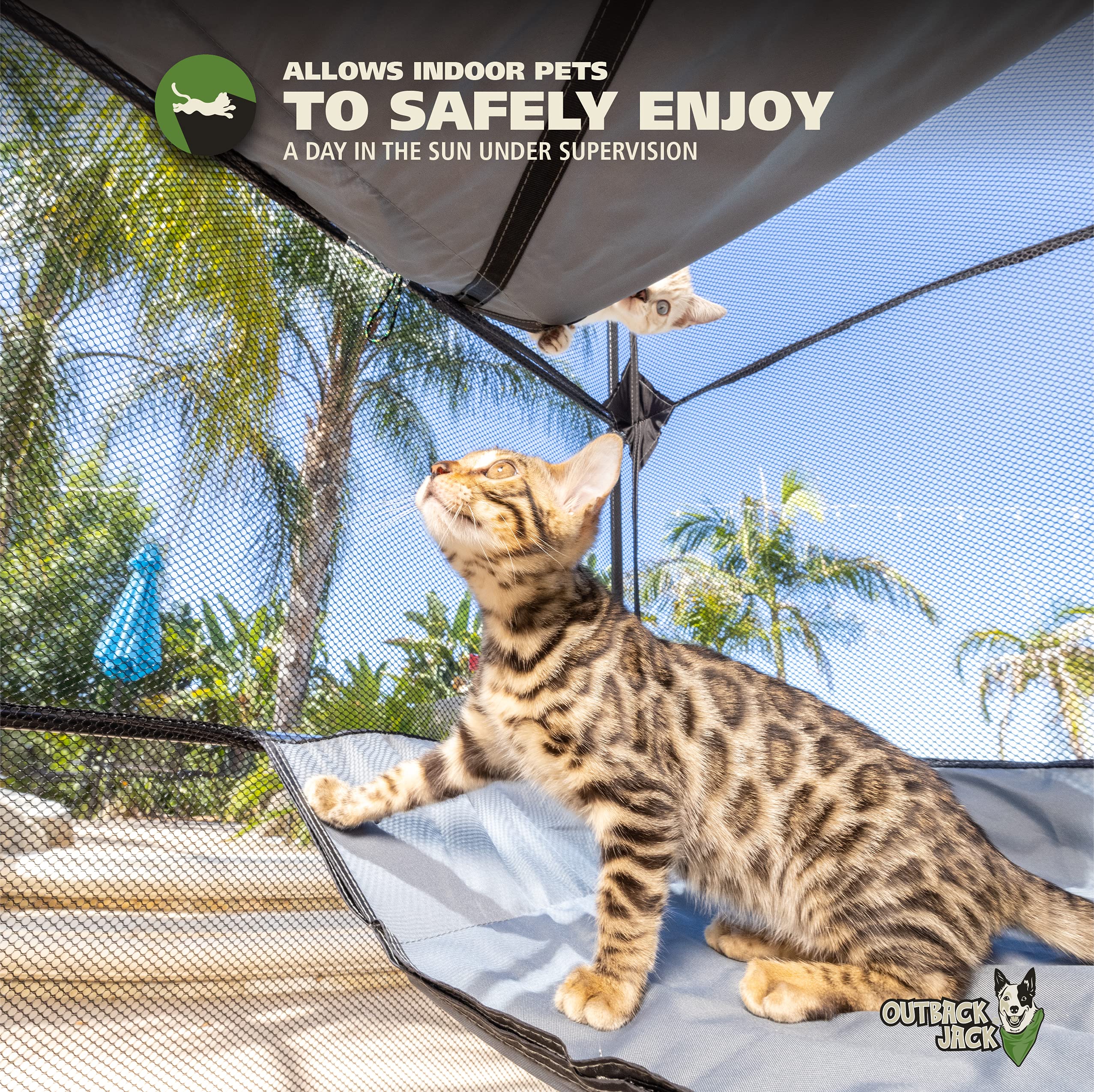Outback Jack Catio portable design for easy setup and transport.