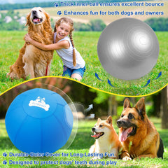 Outdoggy Herding Ball 22inch backyard scene ready for all-weather use