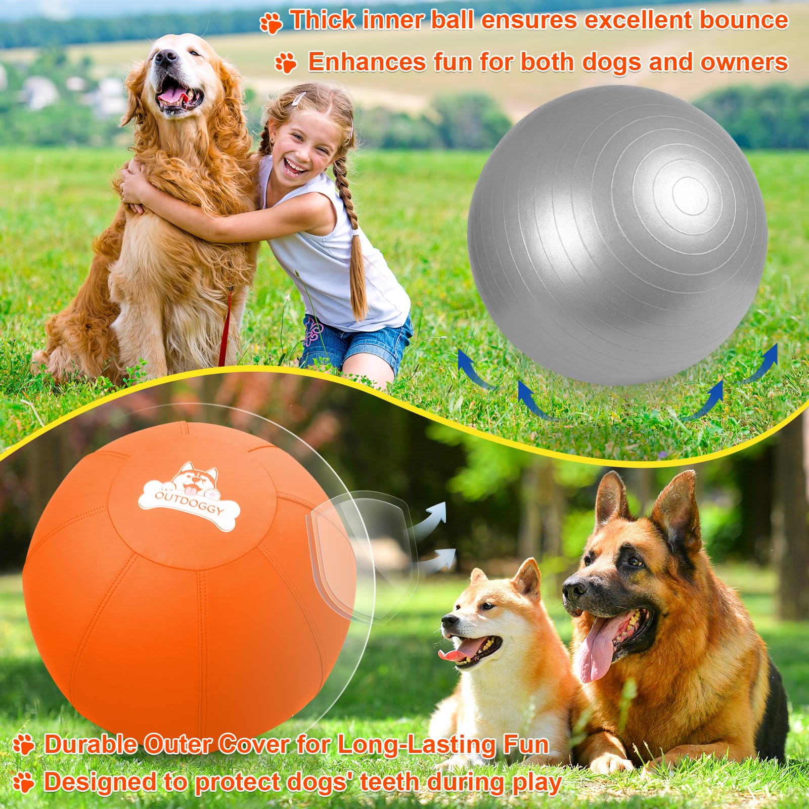 Outdoggy Herding Ball backyard training session keeps dogs focused outdoors.