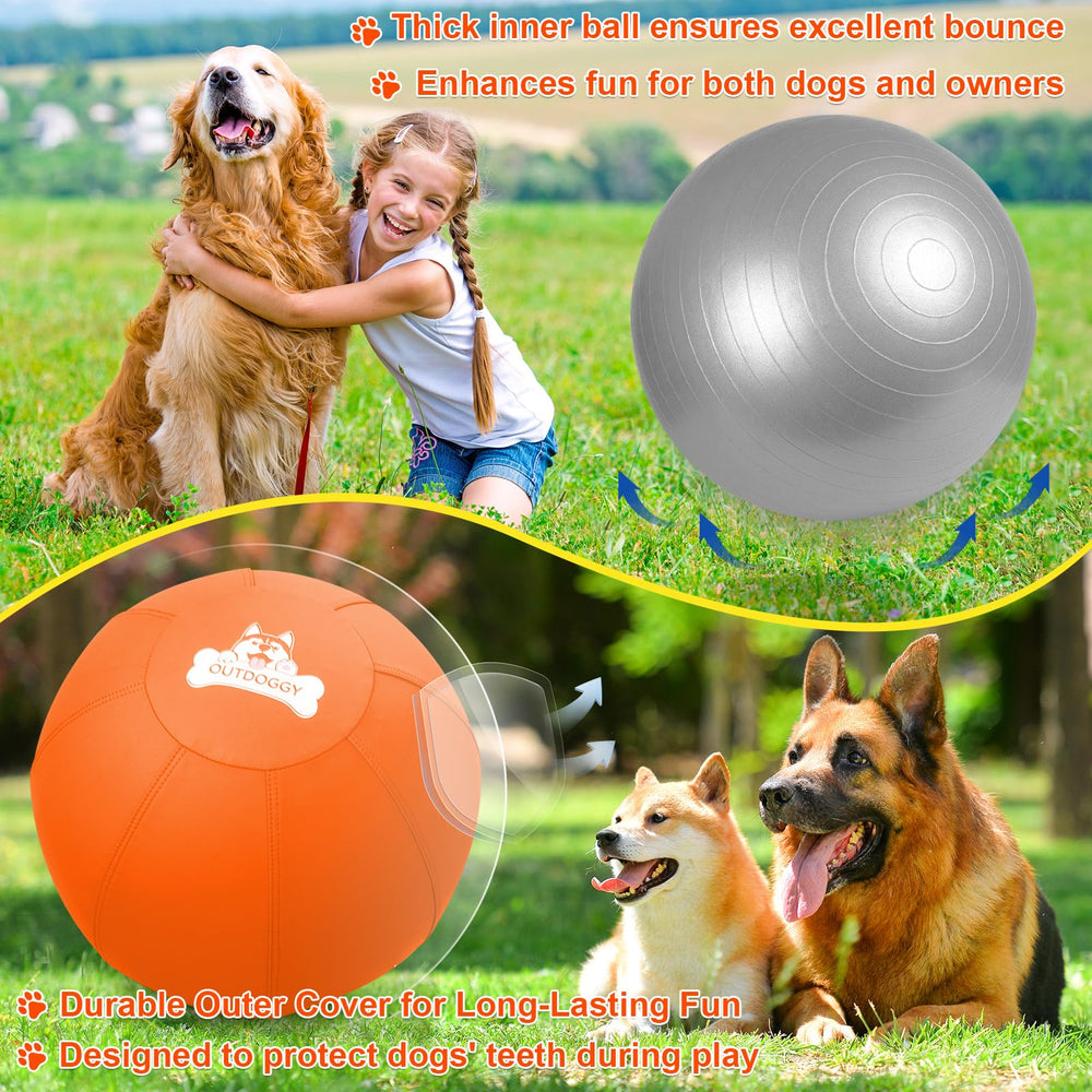Outdoggy Herding Ball backyard training session keeps dogs focused outdoors.