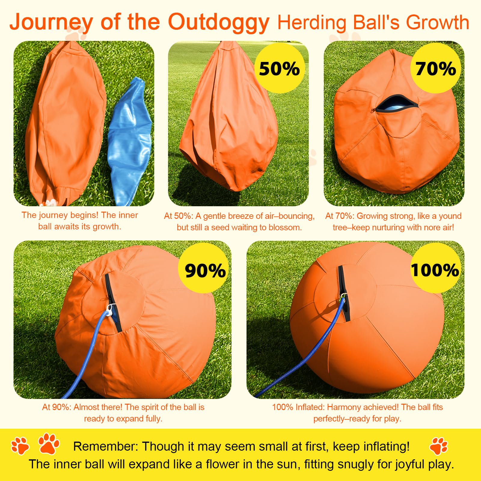 Outdoggy Herding Ball dog pushing and herding action for interactive training.