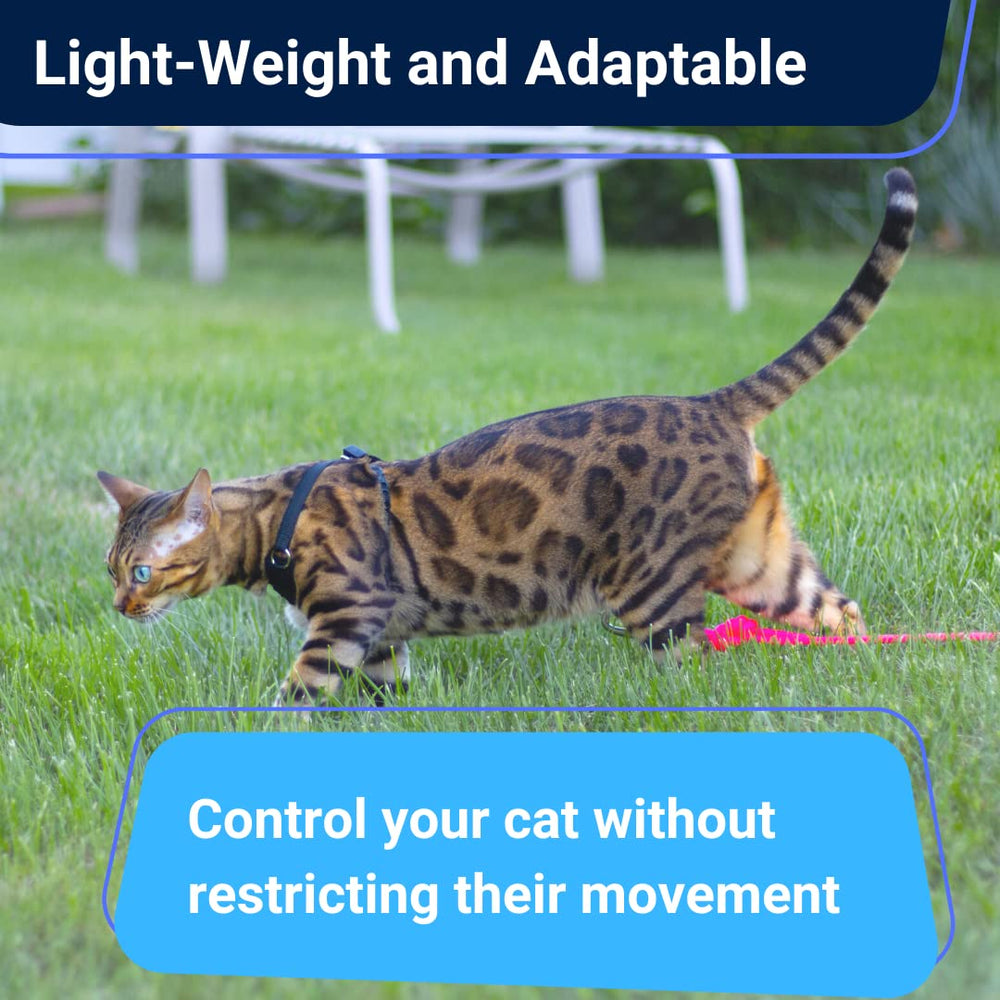OutdoorBengal Houdini adjustable straps for a snug, customizable fit.