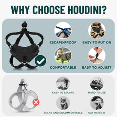 OutdoorBengal Houdini adjustable-straps feature ensures a snug, growing-kitten fit.
