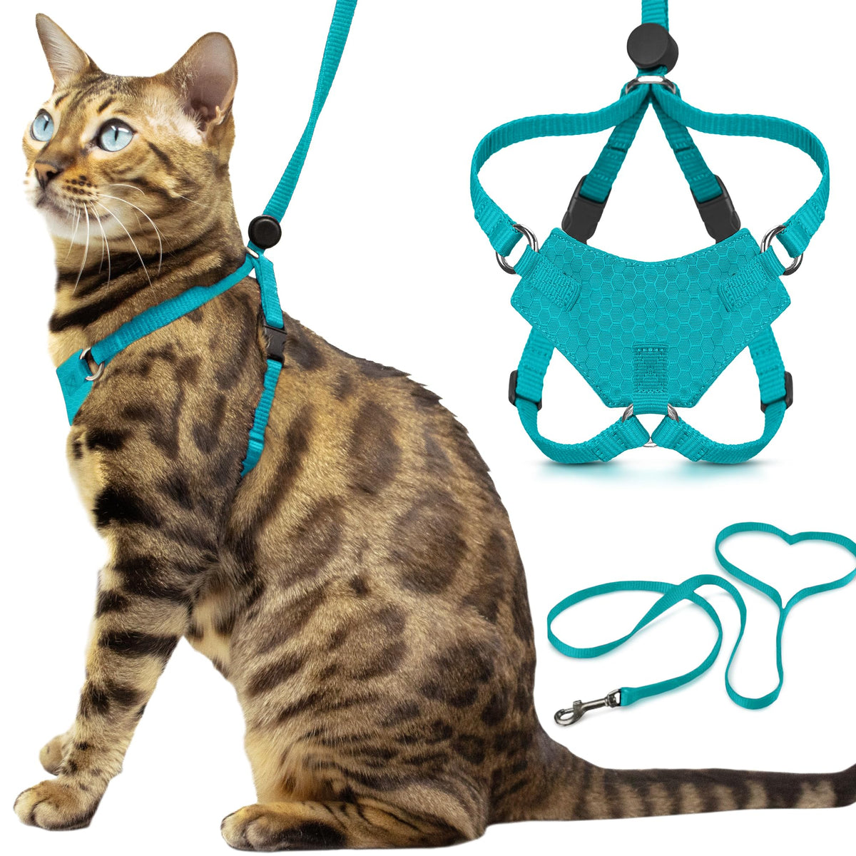 OutdoorBengal Houdini turquoise harness front view for secure escape protection while walking