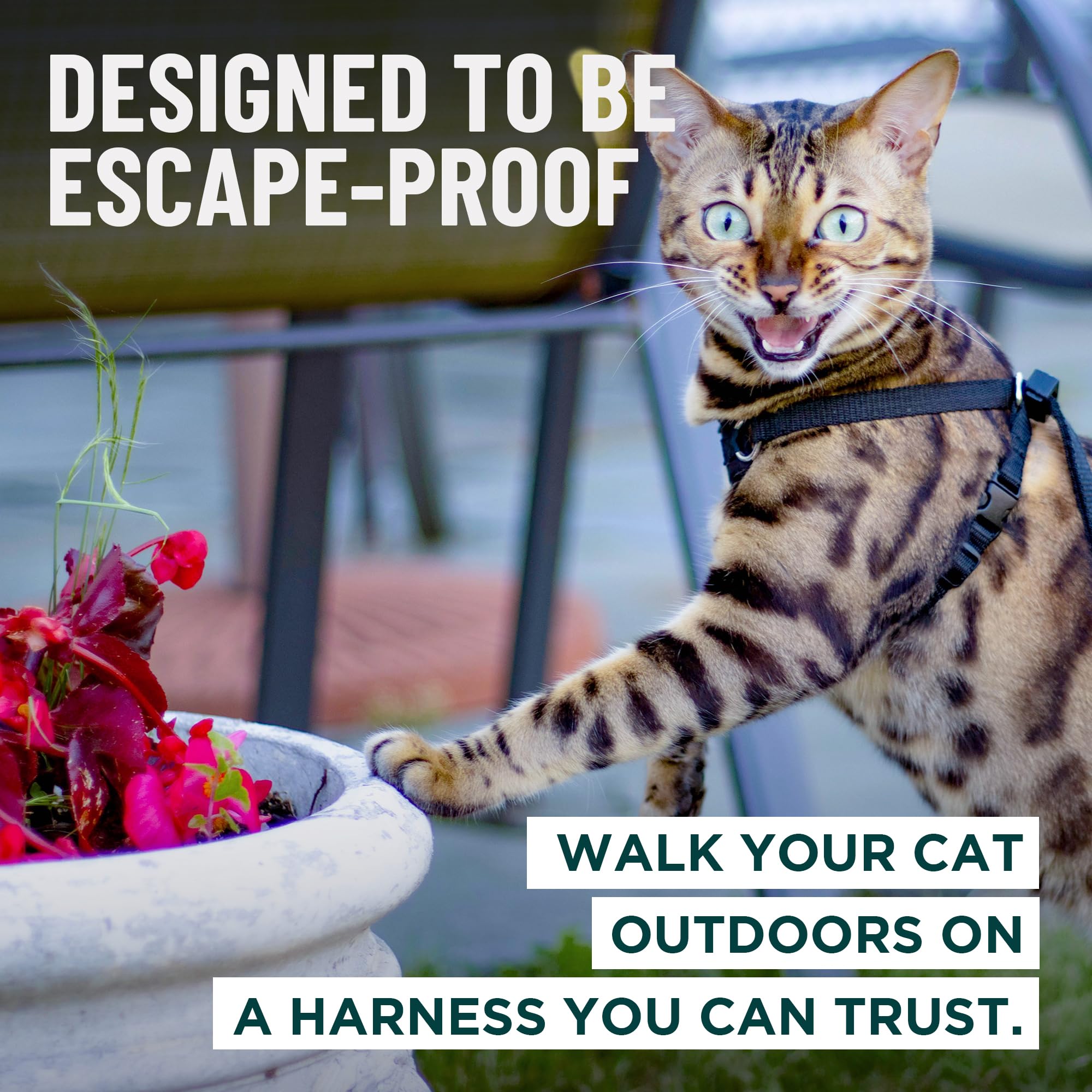 OutdoorBengal Houdini turquoise harness side fit demonstrates adjustable straps for a snug feel