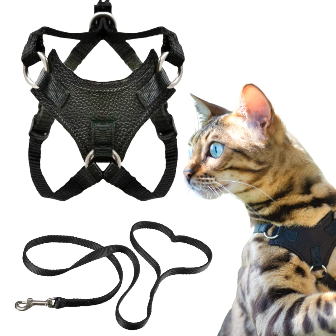 OutdoorBengal Houdini escape-proof harness on a cat for secure outdoor walks.