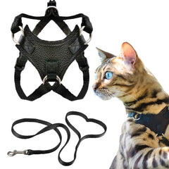 OutdoorBengal Houdini escape-proof harness on a cat for secure outdoor walks.