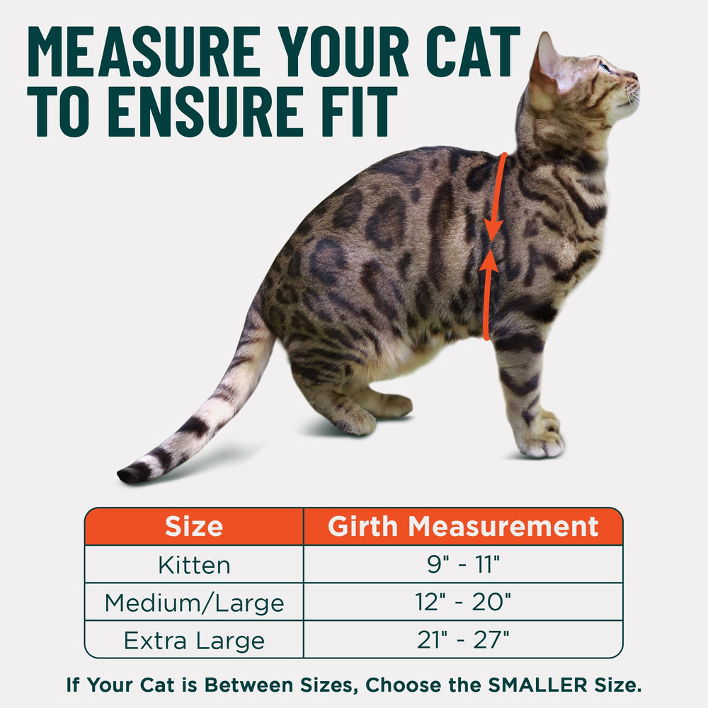 OutdoorBengal Houdini breathable-mesh view demonstrates cooling comfort on warm days.