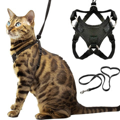 OutdoorBengal Houdini harness close-up shows escape-proof neck ring for secure walks