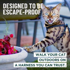 OutdoorBengal Houdini neck-escape mechanism closeup shows escape-proof safety during walks.