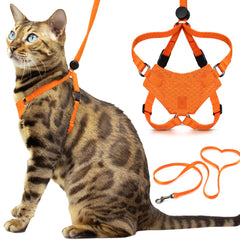 OutdoorBengal Houdini harness orange on cat for secure outdoor adventures.