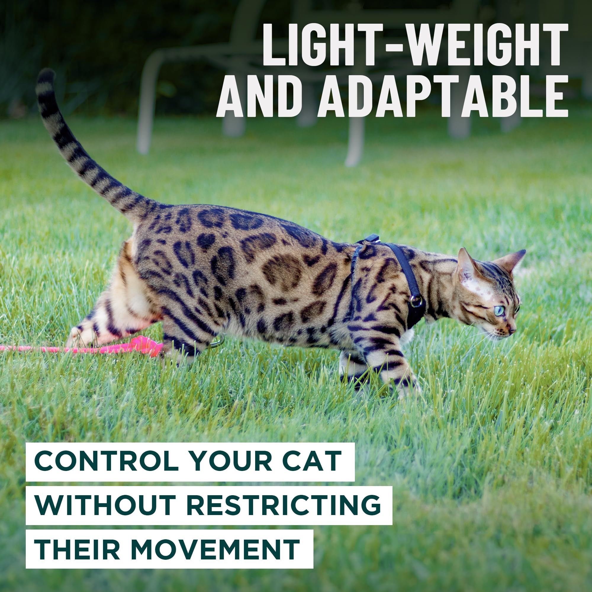 OutdoorBengal Houdini size-chart closeup helps pick the right fit for kittens.