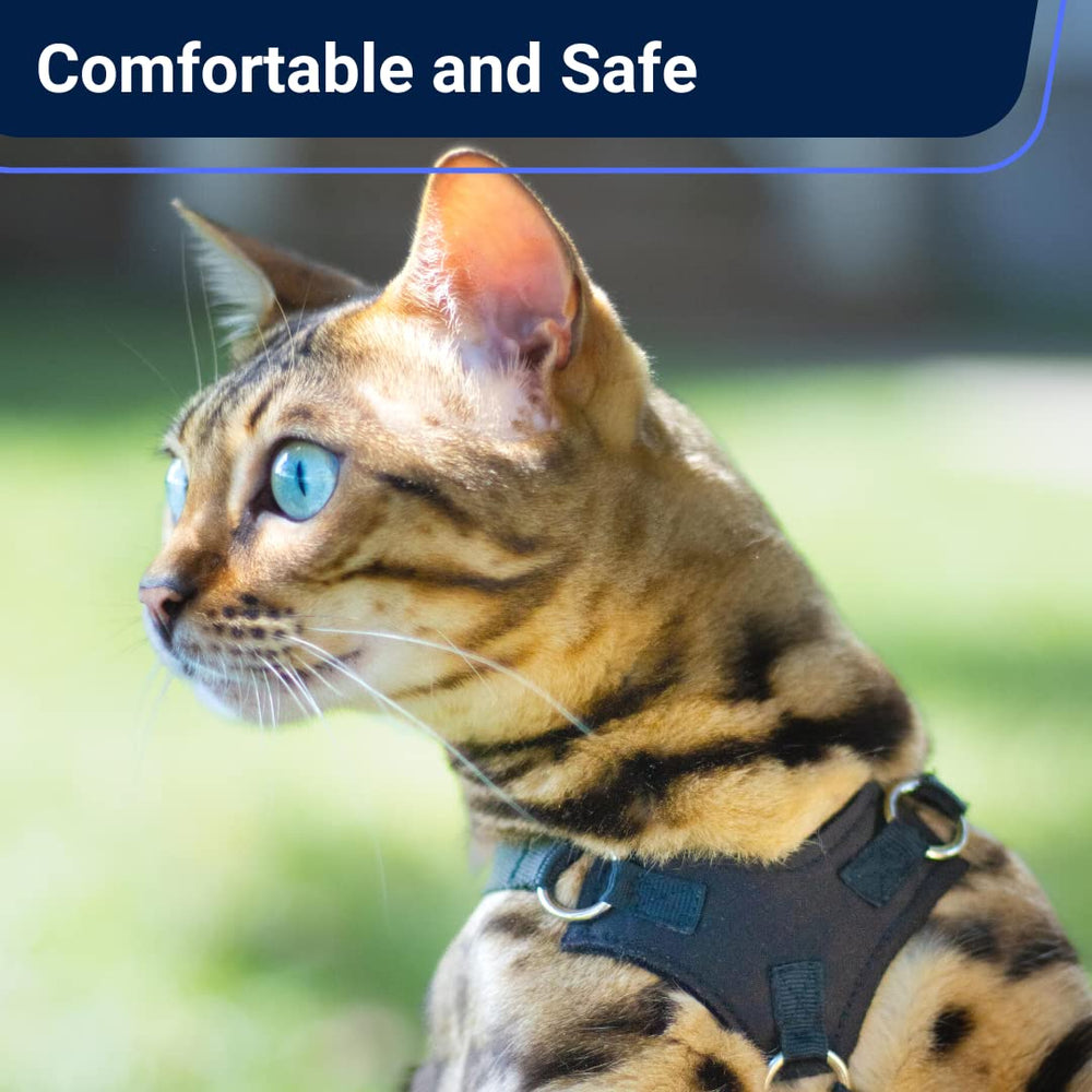 OutdoorBengal Houdini vegan leather harness demonstrates durability and lightweight comfort