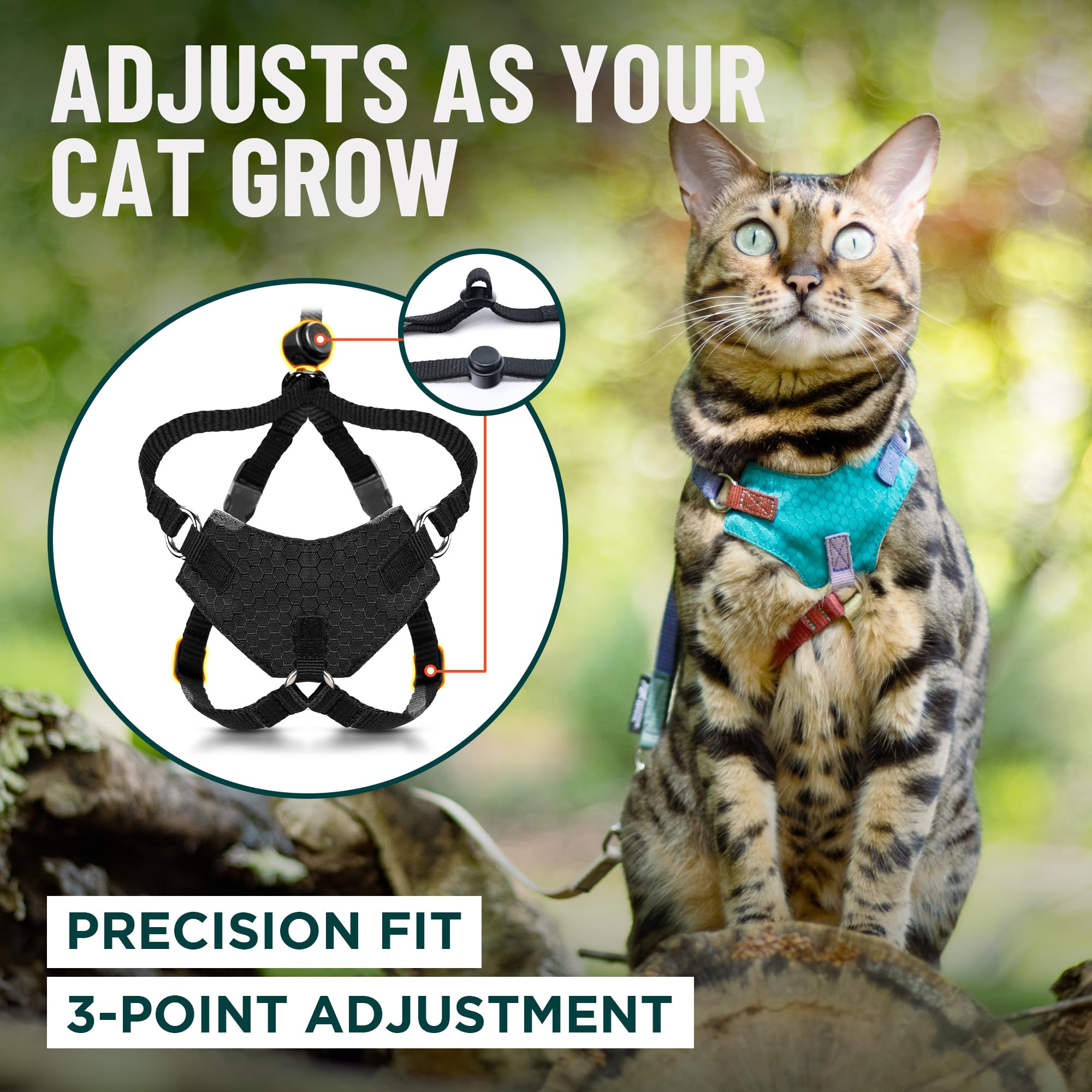 OutdoorBengal Houdini leash-attachment closeup ensures secure connection for walks.