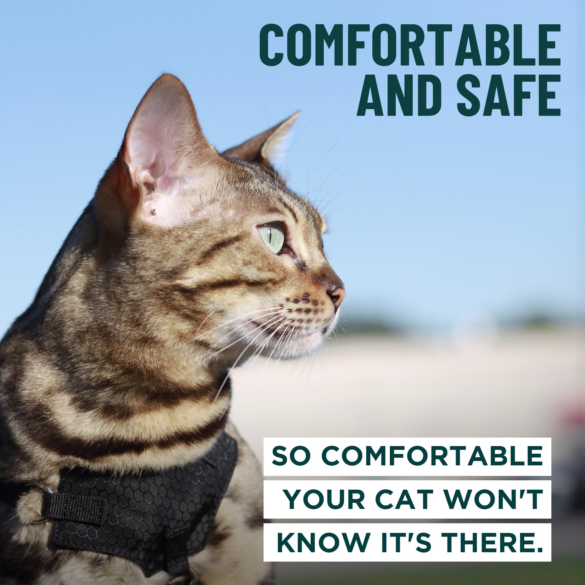 OutdoorBengal Houdini padded-chest system reduces pressure while allowing full movement.