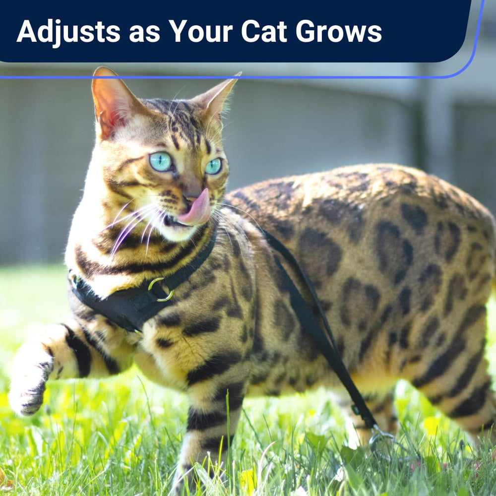OutdoorBengal Houdini size chart helps pick the right harness size.