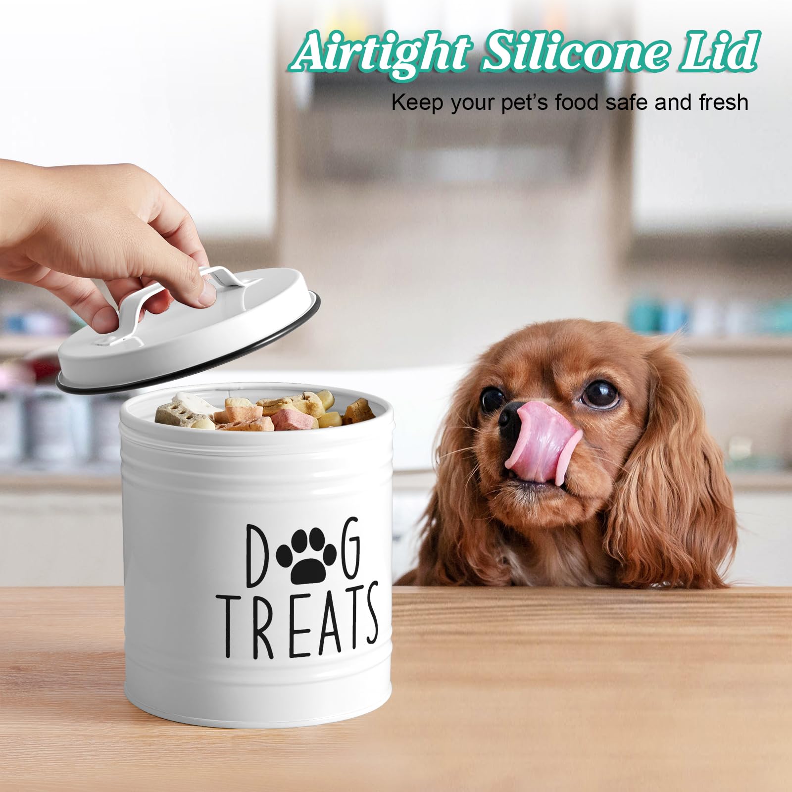 OUTNILI dog treat jar on countertop demonstrates quick access for pets.