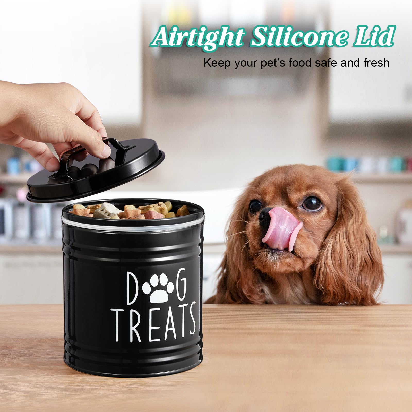 OUTNILI large dog treat container lid close-up showing airtight seal.