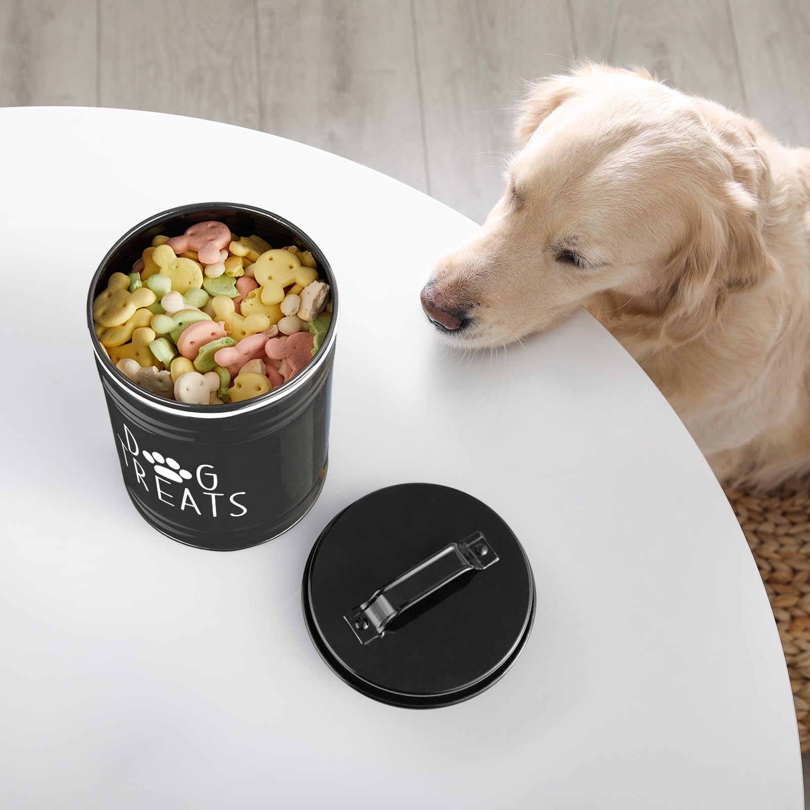 OUTNILI gift-ready presentation supports thoughtful pet-owner gift ideas.