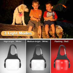 Outopest USB-C rechargeable dog light charging on outings.