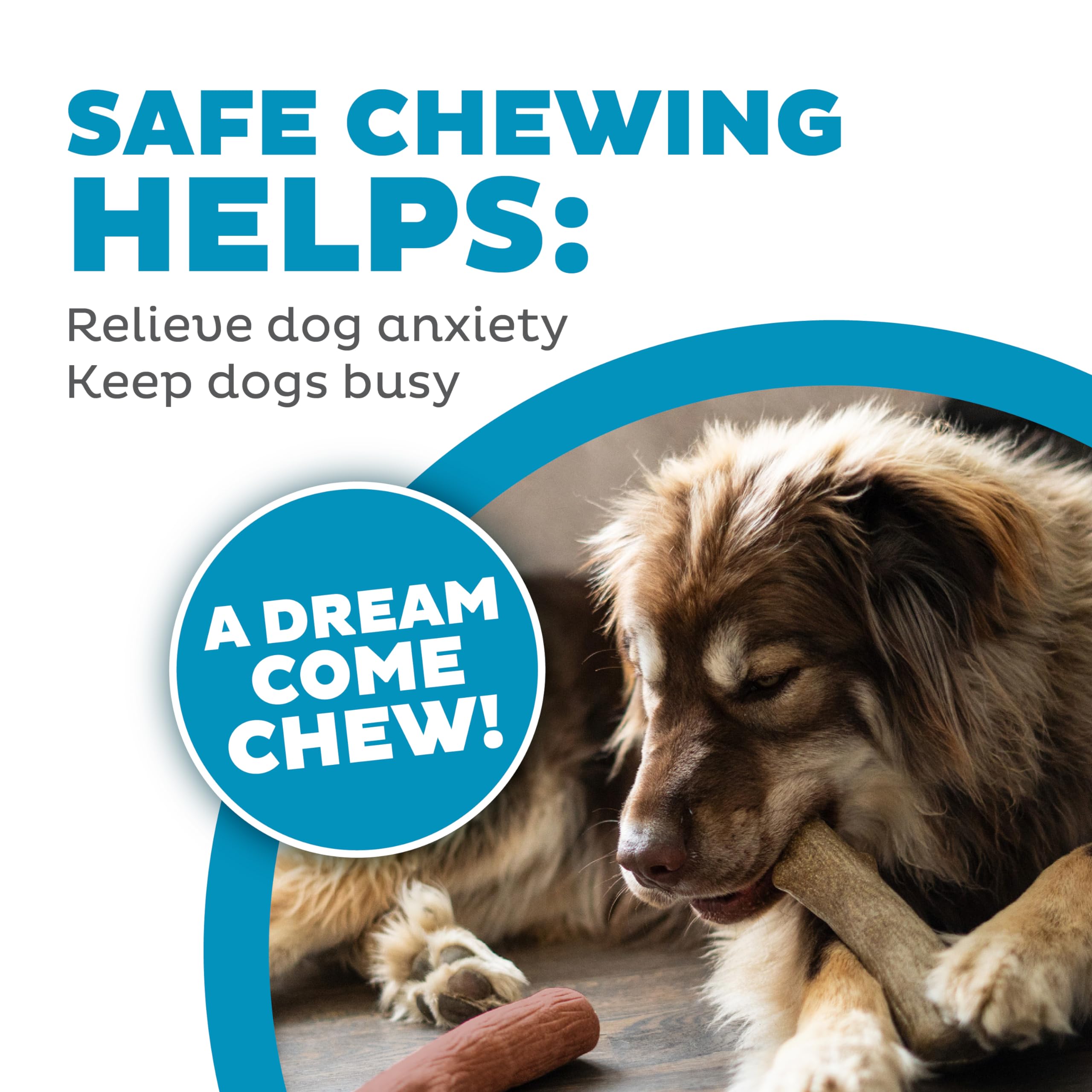 Outward Hound Dogwood safety-and-care notes aid responsible chewing.