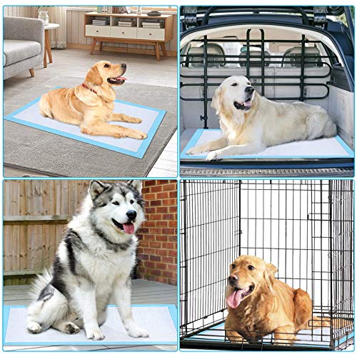 Indoor use scenario with Ownpets pad laid out for puppy training indoors.
