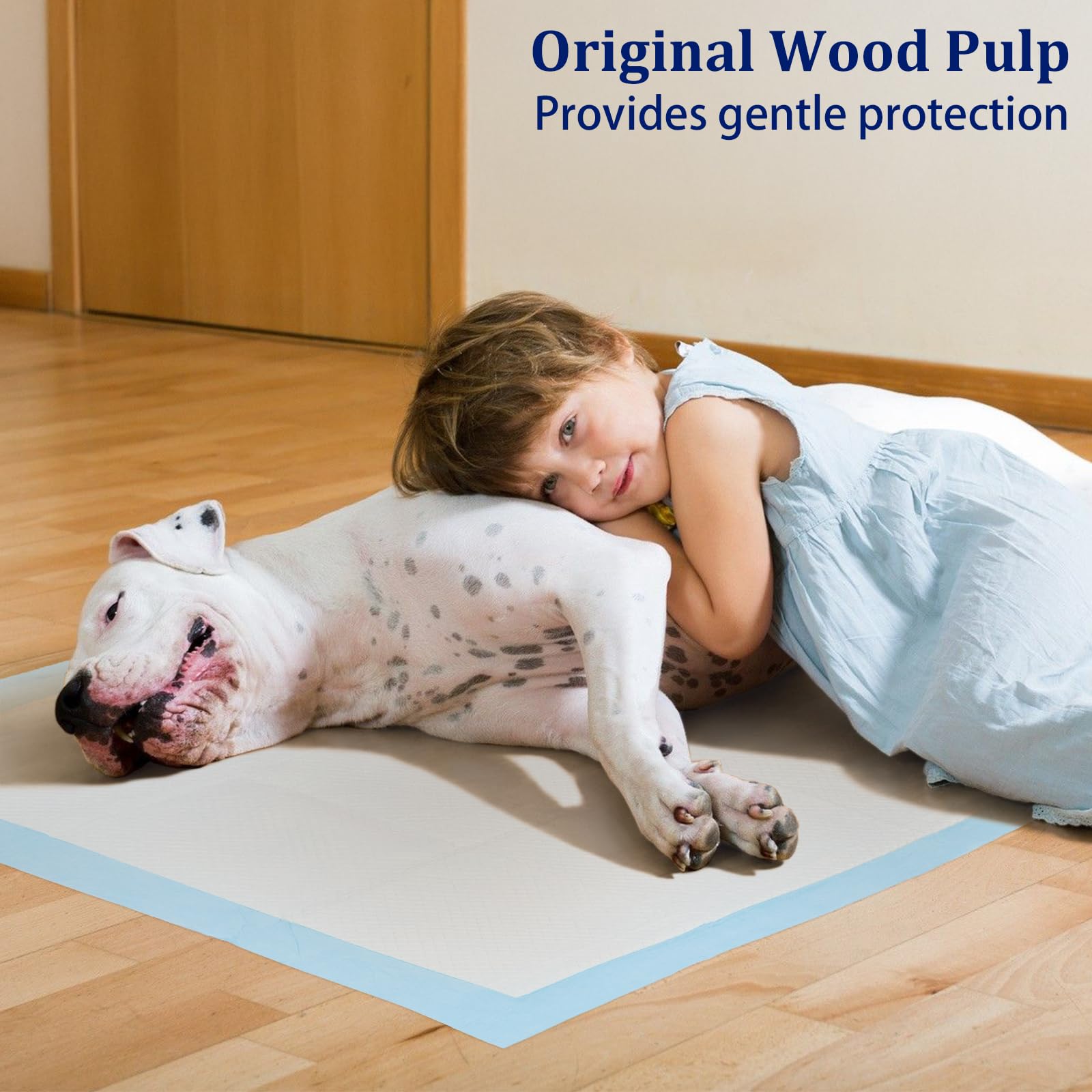 Ownpets indoor-use-scene-visual displays easy placement in kennels and crates.