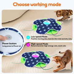 Oxawo cat toy with bird chirping sounds stimulates curiosity during solo play