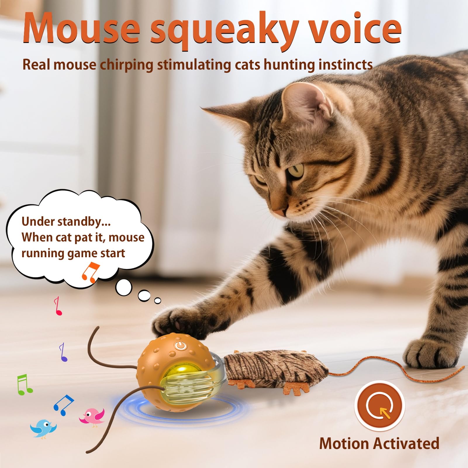 Oxawo fast mode carpet action—captures energetic cat engagement.