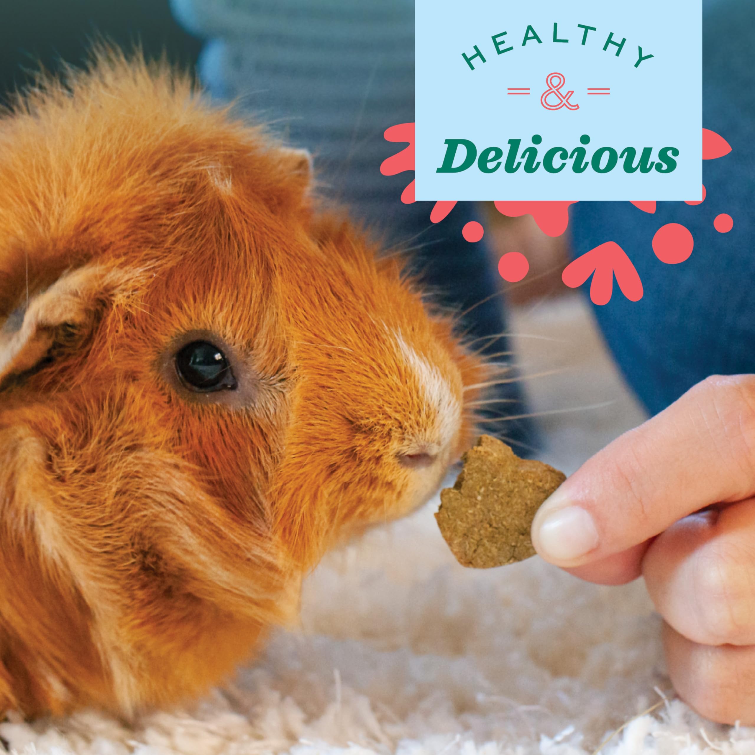 Oxbow Hamster Simple Rewards bite-size treat pieces