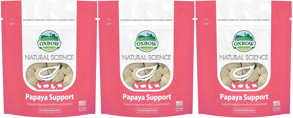 Oxbow Natural Science papaya wafers 3-pack, chewy texture supports small pets' digestion