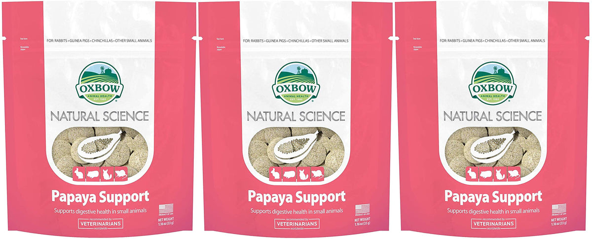 Oxbow Natural Science papaya wafers 3-pack, chewy texture supports small pets' digestion
