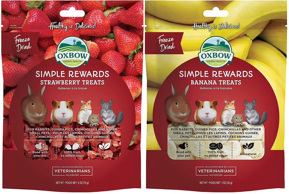 Oxbow strawberry simple rewards bundle treats maximize small pet snacking variety.