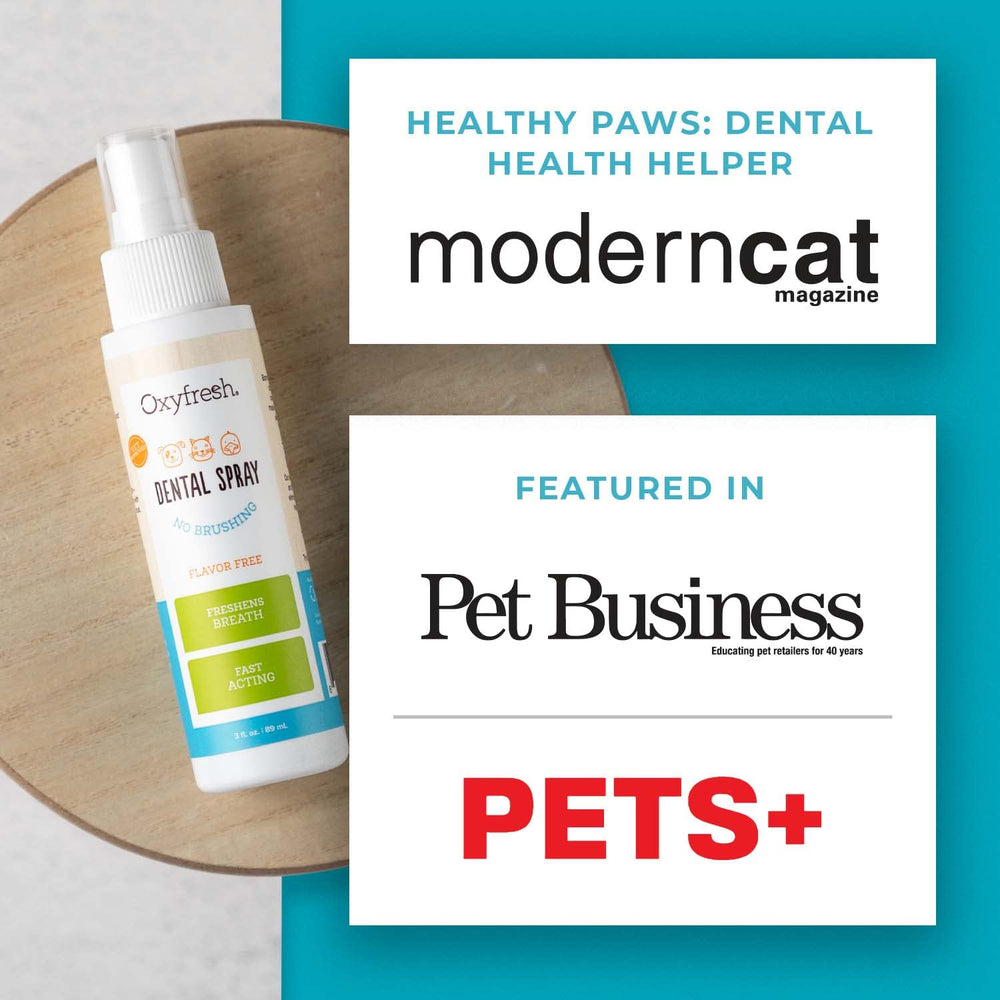 Oxyfresh Advanced Cat & Dog Breath Spray cat-mouth-shot demonstrates gentle mouth spray for feline dental care.