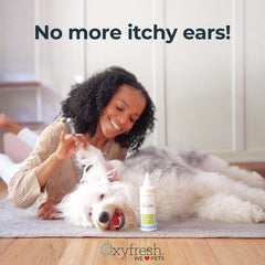 Cat ear close-up being cleaned with Oxyfresh cleaner to remove wax and odor