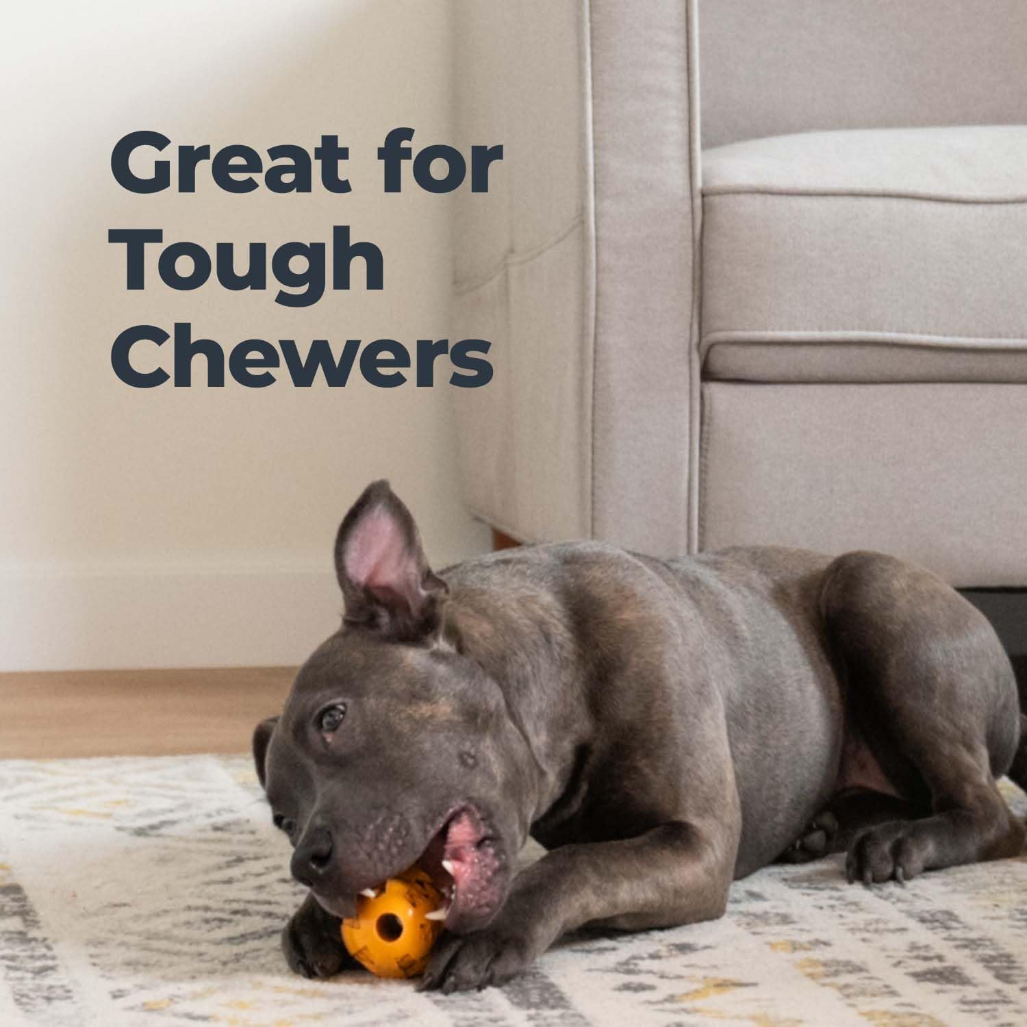 Oxyfresh dog dental chew toy senior-friendly use