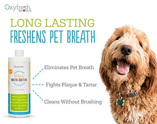 Vet-recommended Oxyfresh formula shown with a cat bowl, illustrating easy daily dental care without brushing.