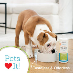 Close-up of Oxyfresh bottle beside a dog's teeth, highlighting tartar control and breath freshening.