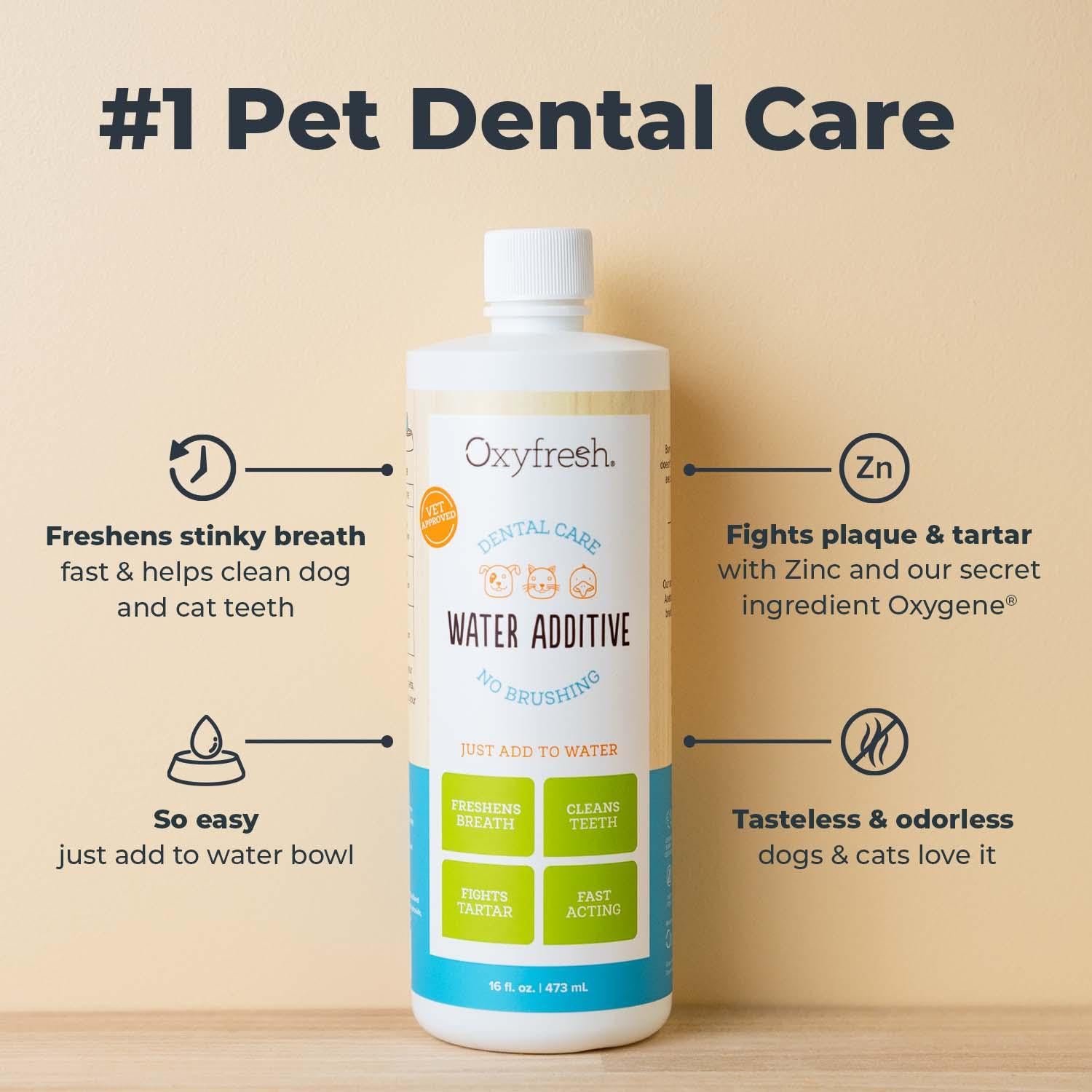 Pouring Oxyfresh into a pet water bowl for daily dental care.
