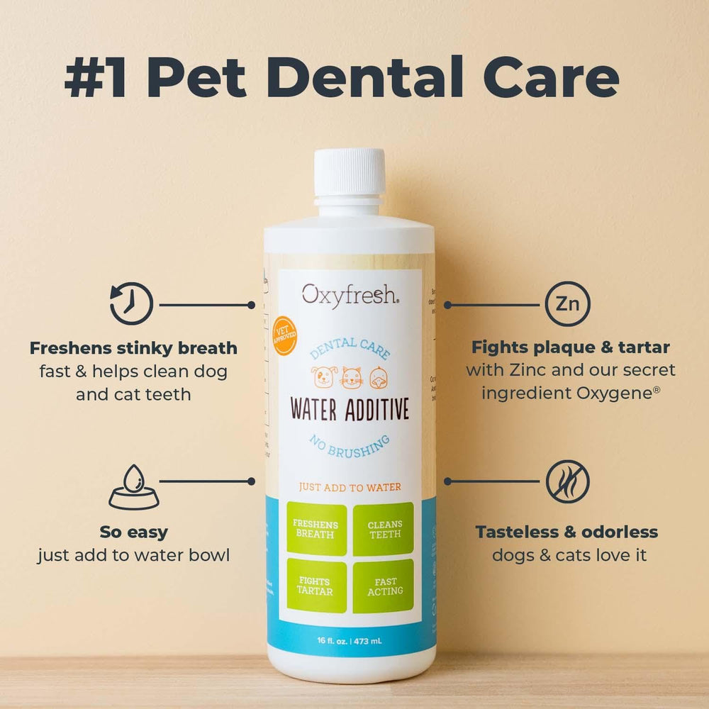 Pouring Oxyfresh into a pet water bowl for daily dental care.