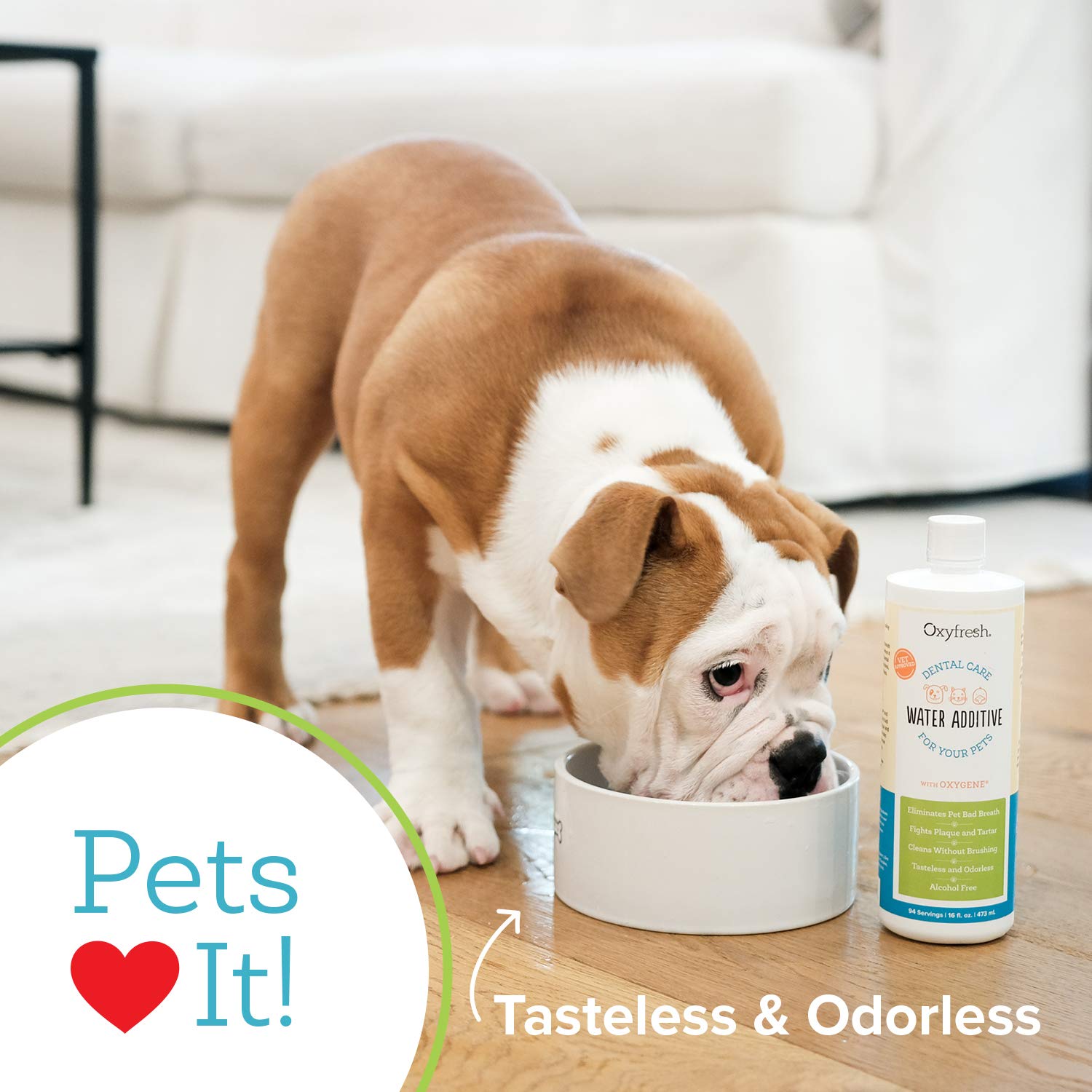 Oxyfresh premium pet dental water additive ingredients closeup signals USA-made quality.