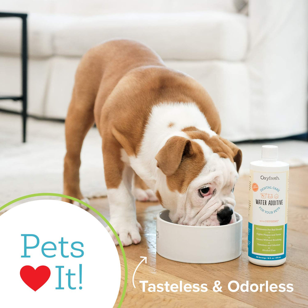 Oxyfresh premium pet dental water additive ingredients closeup signals USA-made quality.