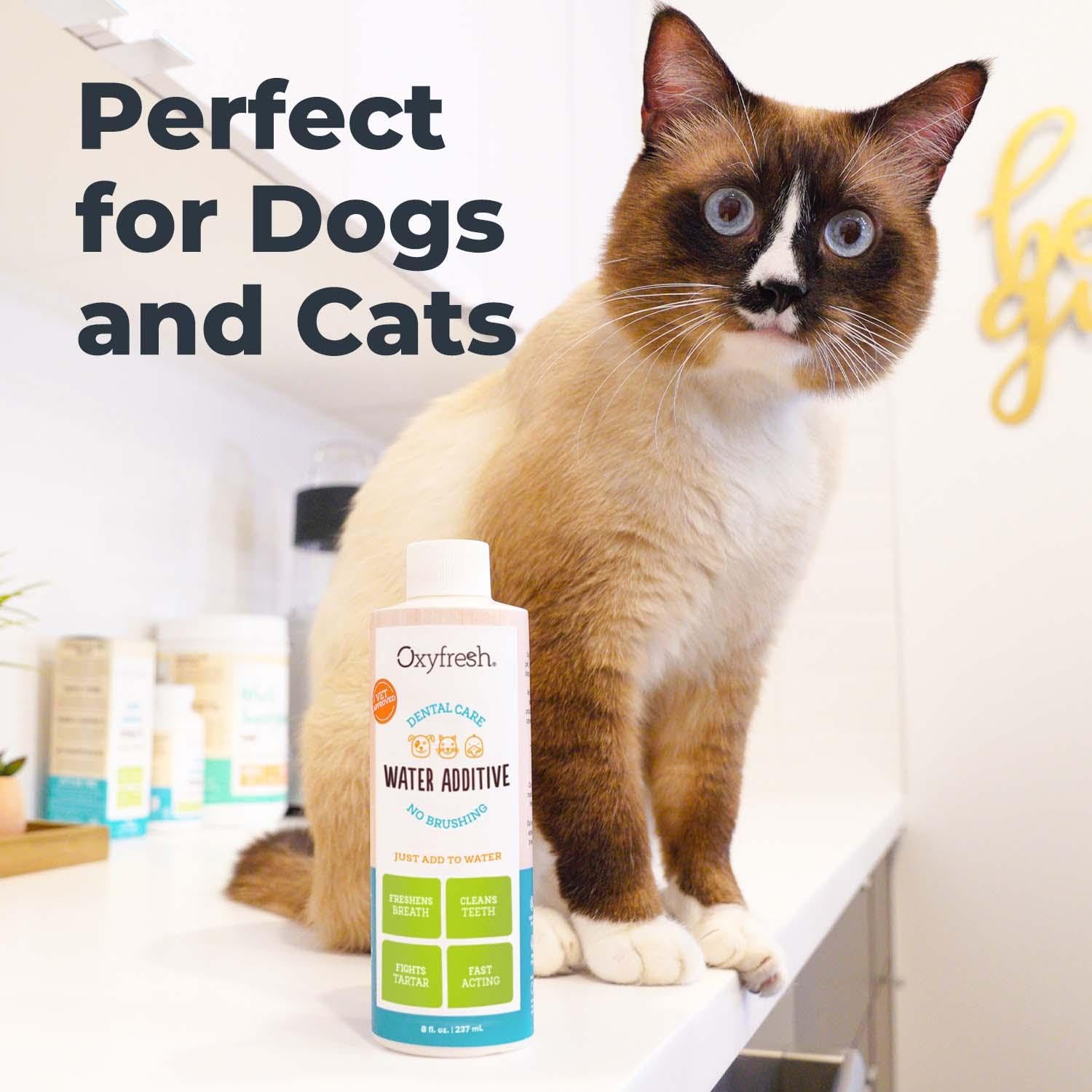 Vet-recommended Oxyfresh dental water additive for simple daily routines.