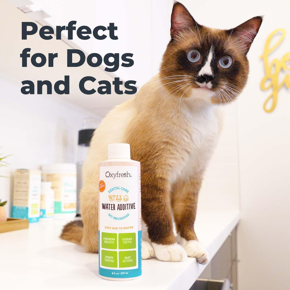 Vet-recommended Oxyfresh dental water additive for simple daily routines.