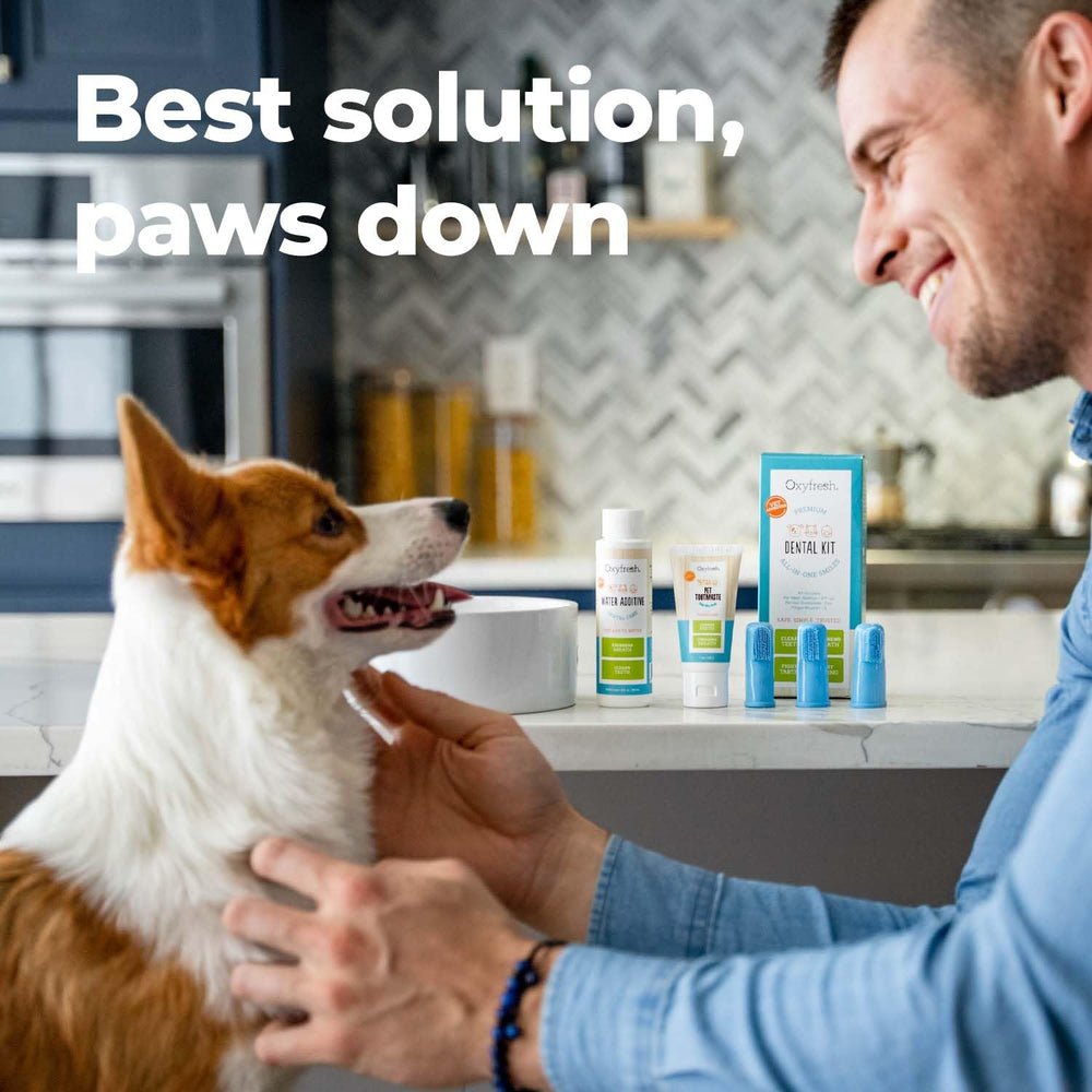 Oxyfresh premium pet dental kit complete box showing all included items.