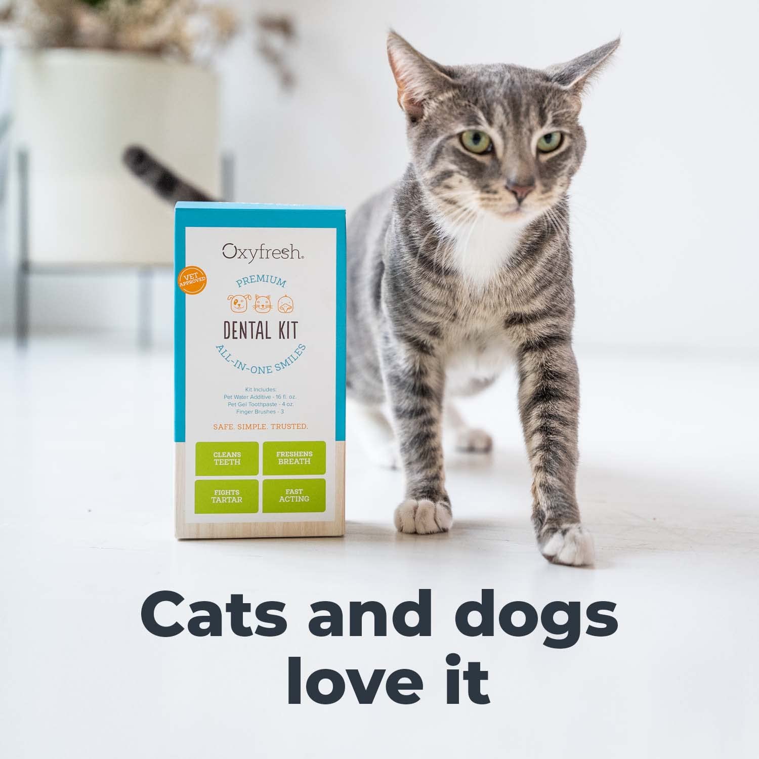 Oxyfresh promotes fresh breath and confident smiles for pets.