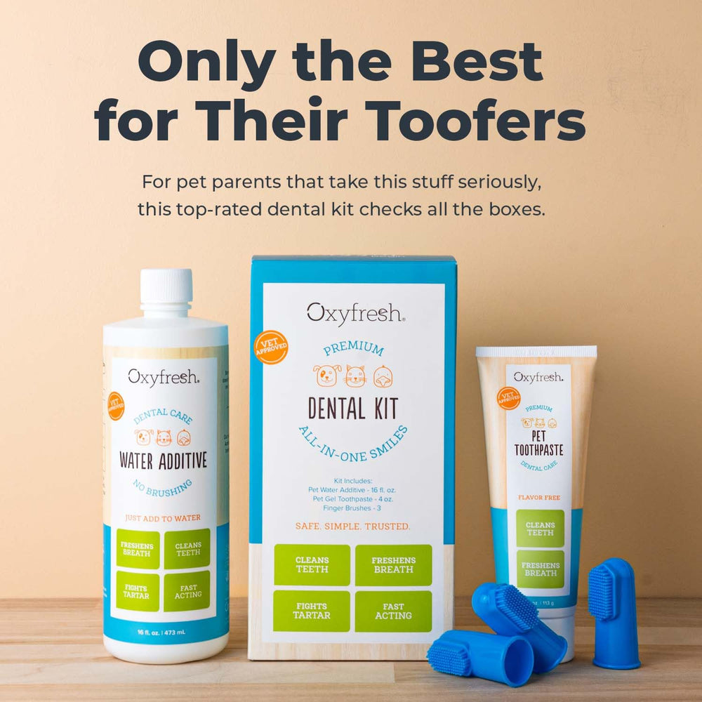 Oxyfresh premium pet dental kit water additive bottle used in a pet's bowl for easy daily refresh.