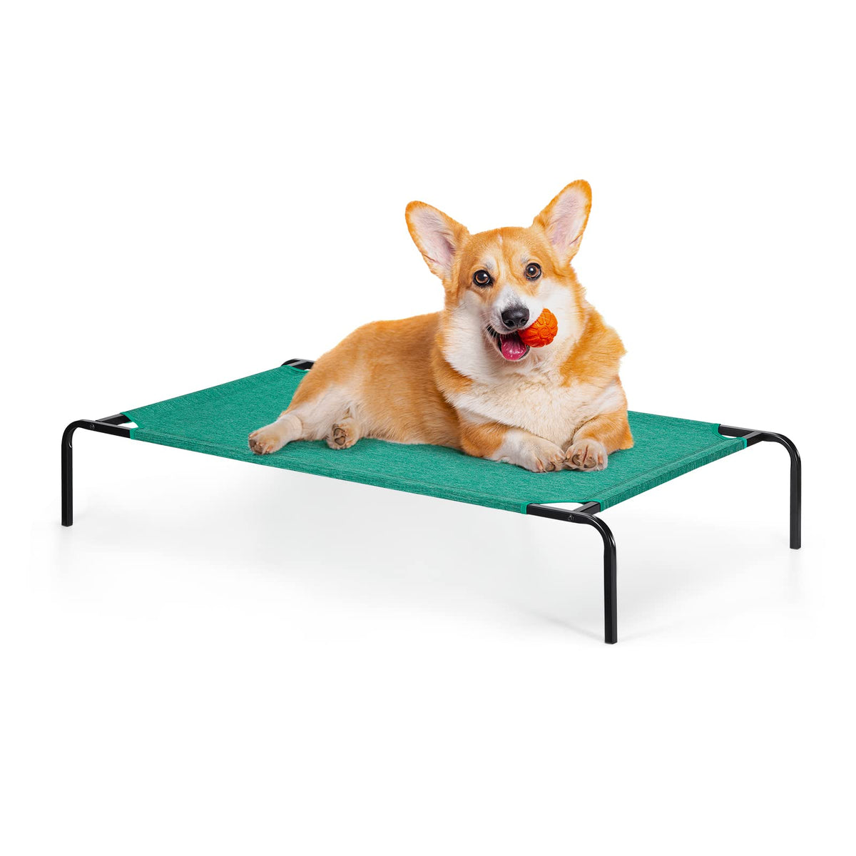 OYEAL raised ped bed with metal frame provides sturdy support for small and medium pets